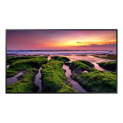 SAMSUNG QB65B LH65QBBEBGCXEN - Écran professionnel UHD 4K intérieur 65" est idéal pour solution d'affichage dynamique